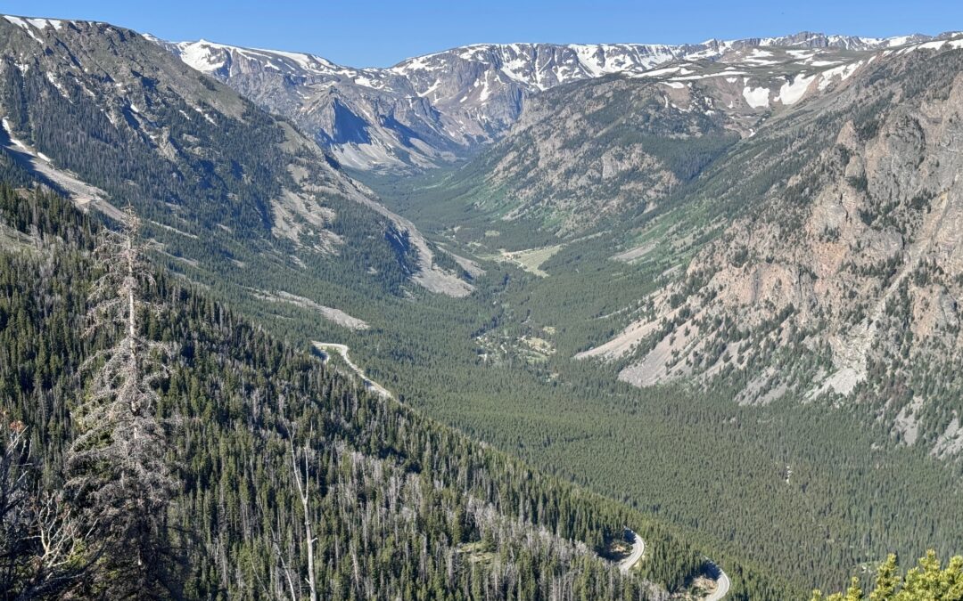 How to Stay Connected on the Road: The Ultimate Guide to Using eSIMs